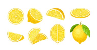 Citrus dilimleri hazır. Yapraklı limonlar. Vitaminli doğal ve organik meyveler. Lezzetli ve sulu yemekler. Sosyal ağlar için etiket. Çizgi film düz vektör koleksiyonu beyaz arkaplanda izole edildi