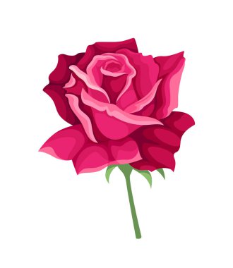 Tatlı suluboya gül. Yapraklı pembe çiçek. Güzellik, zarafet ve estetik. Vahşi hayat ve bitki örtüsü. Poster ya da afiş. Çizgi film düz vektör çizimi beyaz arkaplanda izole edildi