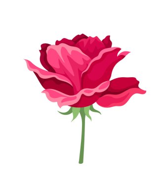 Tatlı suluboya gül. Yapraklı pembe çiçek. Güzellik, zarafet ve estetik. Çiçek açar ve çiçek açar. Vahşi hayat ve bitki örtüsü. Çizgi film düz vektör çizimi beyaz arkaplanda izole edildi