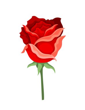 Tatlı suluboya gül. Yapraklı kırmızı çiçek. Güzellik, zarafet ve estetik. Yaratıcılık ve sanat. Şablon ve düzen. Çizgi film düz vektör çizimi beyaz arkaplanda izole edildi