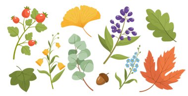 Çiçek elementleri ayarlandı. Çiçekli ve yapraklı dallar, yapraklı. Biyoloji ve botanik. Çiçek ve çiçek açan bitkiler. Web sitesi için grafik ögesi. Çizgi film düz vektör koleksiyonu beyaz arkaplanda izole edildi