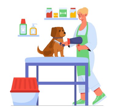 Köpek konsepti olan bir tımarcı. Taraklı ve kuaförlü tıp üniformalı bir kadın. Köpek yavrusu için güzellik tasarımcısı. Zarafet ve estetik. Çizgi film düz vektör çizimi beyaz arkaplanda izole edildi