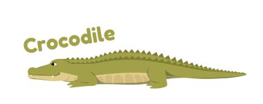 Vahşi Afrika hayvanı. Yeşil timsah ya da safari yaşayan timsah içeren bir etiket ya da ikon. Tehlikeli yırtıcı ya da sürüngen. Çizgi film düz vektör çizimi beyaz arkaplanda izole edildi