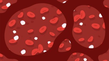 Damarlardaki kan kavramı. Hücrelerin yapısı. Anatomi ve biyoloji. Dolaşım sisteminin bir parçası. Lökositler ve damarlarda ve atardamarlarda kırmızı kan hücreleri. Çizgi film düz vektör çizimi