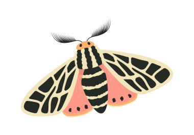 Renkli kelebek konsepti. Pembe ve siyah kanatlı böcek. Hayvanlar ve vahşi yaşam. Güzellik, estetik ve zarafet. Şablon ve düzen. Çizgi film düz vektör çizimi beyaz arkaplanda izole edildi