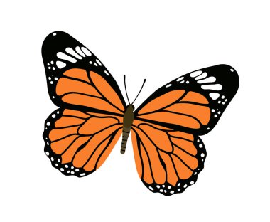 Renkli kelebek konsepti. Kanatlı turuncu böcek. Hayvanlar ve vahşi yaşam. Güzellik, estetik ve zarafet. Web sitesi için grafik ögesi. Çizgi film düz vektör çizimi beyaz arkaplanda izole edildi