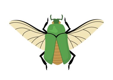 Sevimli böcek konsepti. Kanatlı yeşil böcek. Hayvanlar ve vahşi yaşam. Zooloji ve biyoloji. Bahar ve yaz. Şablon ve düzen. Çizgi film düz vektör koleksiyonu beyaz arkaplanda izole edildi