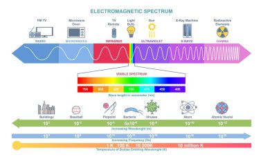 Elektromanyetik spektrum bilgisi. Fizik eğitimi posteri. Dalga yapısı, dalga boyu, frekans ve sıcaklık diyagramı. Beyaz arkaplanda çizgi film düz vektör çizimi