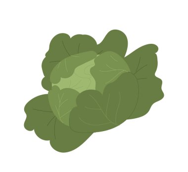 Sebze takımı. Çiftçilik ve tarım. Doğal ve organik ürünler. Yeşil lahana. Vitaminli taze yemek. Çizgi film düz vektör koleksiyonu beyaz arkaplanda izole edildi