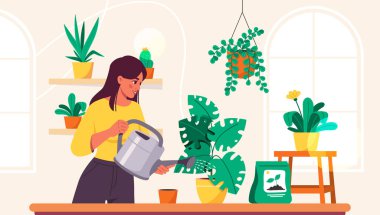 Çiçekleri sulayan kadın. Tropikal ve egzotik yaprakları olan saksının yanında genç bir kız. Bahçecilik, bahçıvanlık, botanik. Bitkilere karşı sevgi. Rahatlık ve rahatlık. Çizgi film düz vektör çizimi