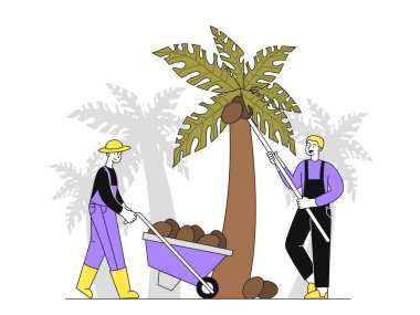 Palm oil producing simple. Two men near palm tree with coconuts. Natural and organic products for healthy diet and eating with vitamins. Doodle flat vector illustration isolated on white background clipart