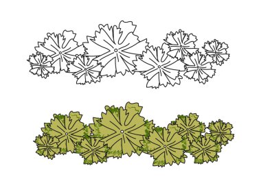 Grup ağaçları mimari üst görünüm. Yeşil yapraklı çalılar ve ağaçlar. El çizimi eskiz. Ormanlar ve bahçeler yaratmak için bir şablon. Düz vektör çizimi beyaz arkaplanda izole edildi
