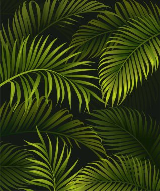Avuç içi yaprakları. Yeşil dalları ve tropik egzotik bitki yaprakları olan koyu renkli bir afiş ya da poster. Kopya uzayı olan doğal organik orman tasarımı. Gerçekçi vektör illüstrasyonu