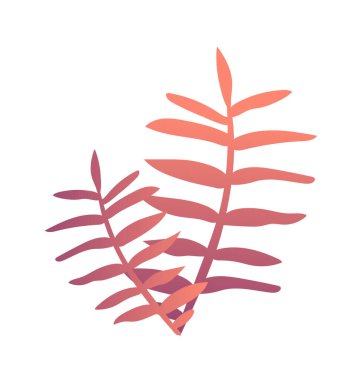 Gradyan kavramı terk eder. Parlak kırmızı yapraklar. Tropikal ve egzotik bitki. Güzel çiçekler. Bahçıvanlık, tarım, botanik. Düz vektör çizimi beyaz arkaplanda izole edildi