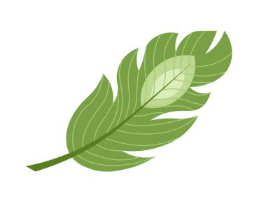 Renkli tüy ikonu. Yeşil kuş tüyü, kuş tüyü. Düşen, yüzen ya da uçan nesneler. Moda ve moda. Sosyal medya etiketi. Düz vektör çizimi beyaz arkaplanda izole edildi