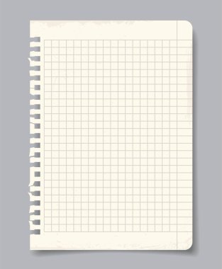 Kaba kenarları ve şebeke çizgileri olan yırtık kare kağıtlar, minimum düz stil, gri arka planda izole edilmiş. Not, eskiz ya da okul kağıdı kavramı. Vektör illüstrasyonu