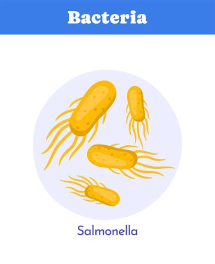 Kırbaçlanmış sarı salmonella bakterisi ışık arka planında düz çizgi film şeklinde mikroskop altında gösteriliyor. Mikrobiyoloji ve enfeksiyon kavramı. Vektör illüstrasyonu