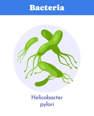 Flagella 'lı yeşil Helicobacter pillori bakterisi dairesel arkaplanda düz bir çizgi film tarzında yakın plan gösteriyordu. Bakteriyel enfeksiyon kavramı. Vektör illüstrasyonu