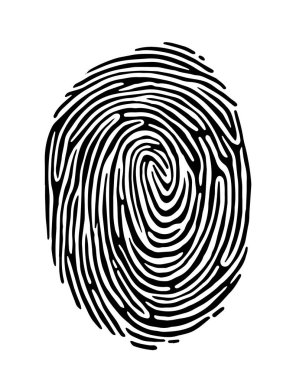 Detaylı çıkıntılı siyah parmak izi kalıbı ve temiz beyaz arka planda kalın grafik şeklinde girdaplar. Kimlik, güvenlik ve biyometri kavramı. Vektör illüstrasyonu