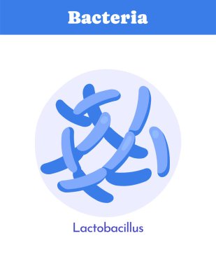 Mavi Lactobacillus bakteri şekilleri dairesel bir çerçeve içinde kümelenmiş, beyaz arkaplanda basit düz tasarım tarzı. Mikrobiyoloji ve probiyotik kavramı. Vektör illüstrasyonu
