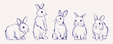 Tavşan robot resim seti. Paskalya tavşanı ya da tavşanın eski tarz işlemeli kalem çizimleri. Şirin tüylü hayvanlar oturuyor ve ayakta duruyorlar. El çizimi vektör illüstrasyon koleksiyonu arkaplanda izole