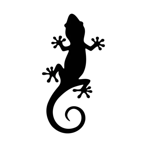 Salamandre Lézard Animal Image Vectorielle — Image vectorielle