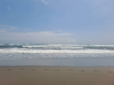 Kumsalda güzel bir deniz dalgası.