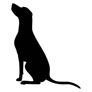 Köpek hayvan silueti. Vektör resmi