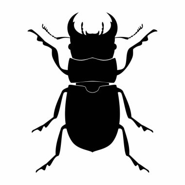 Böcek böceği hayvanı. Vektör resmi