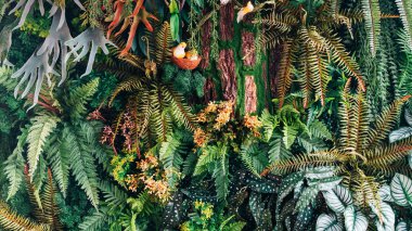 Bir grup tropikal yeşil yaprak dokusu. Doğal yeşil duvar kağıdı ve arka plan. Doğanın Yeşil Duvar Kağıdı.