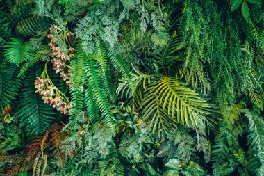 Group of background tropical green leaves texture. Natural green wallpaper and background. Green of Nature wallpaper.	