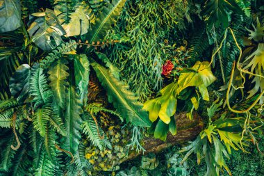 Group of background tropical green leaves texture. Natural green wallpaper and background. Green of Nature wallpaper.	