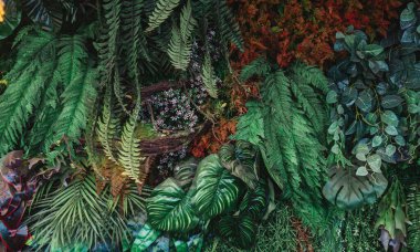 Arka plan tropik yeşil yaprak dokusu ve soyut arkaplan grubunu kapat. Tropikal yaprak doğa kavramı.