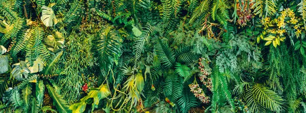 Group of background tropical green leaves texture. Natural green wallpaper and background. Green of Nature wallpaper.	