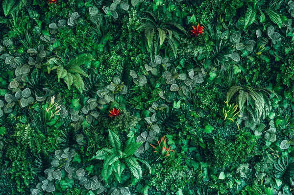 背景熱帯緑の葉のテクスチャと抽象的な背景のグループを閉じます 熱帯の葉の自然概念 ロイヤリティフリーのストック写真