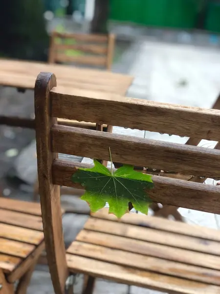 Green Leaf Stuck Wooden Chair Rain — Stock Photo, Image