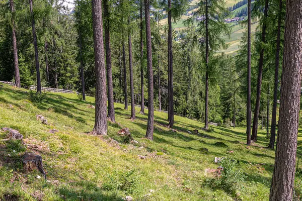 Bergwanderweg Alta Badia Italienische Alpen Schöne Naturlandschaften — Stockfoto