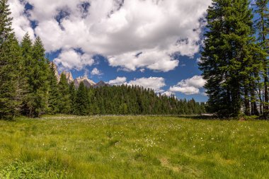 Alta Badia Alpler'de Dolomiti amd doruklarına görünümü, Trentino Alto Adige bölgesinin İtalya'nın peyzaj