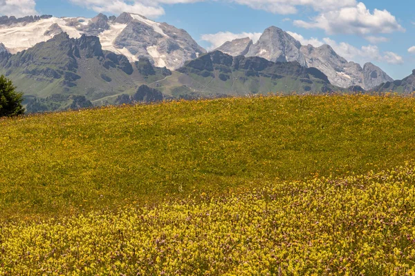 Alp Dolomiti Alta Badia Krajobraz Amd Szczyty Widok Regionu Trentino — Zdjęcie stockowe