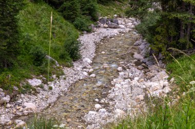 İtalyan Alta Badia Alplerinde huzurlu bir dağ deresi