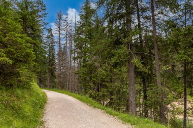 Alta Badia 'daki dağ yürüyüşü rotası, İtalyan Alpleri. Güzel doğal manzaralar.