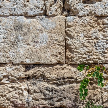 Soyut Taş Duvar Arkaplan Resmi. Arkaplan kullanımı için harika.