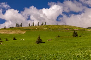 Alta Badia Alpler'de Dolomiti amd doruklarına görünümü, Trentino Alto Adige bölgesinin İtalya'nın peyzaj