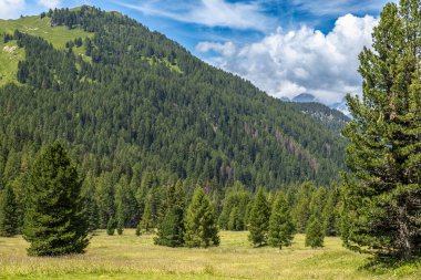 Yoğun ormanların, yemyeşil otlakların ve antik ağaçlarla kaplı dağların arasında, dağlık arazi doğal uyumu ile büyülenir..