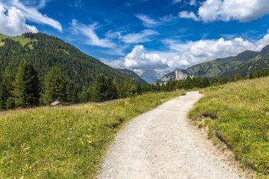 Yoğun ormanların, yemyeşil otlakların ve antik ağaçlarla kaplı dağların arasında, dağlık arazi doğal uyumu ile büyülenir..