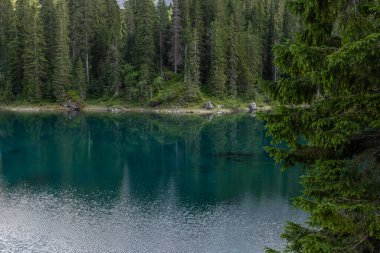 Lake Carezza is a small alpine lake in the Dolomites, italy.