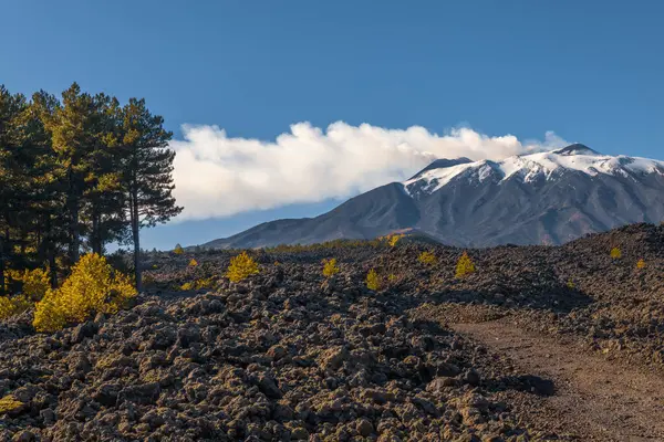 Etna 'nın engebeli yolları lav tarlaları ve karla çevrili..