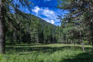 Yoğun ormanların, yemyeşil otlakların ve antik ağaçlarla kaplı dağların arasında, dağlık arazi doğal uyumu ile büyülenir..
