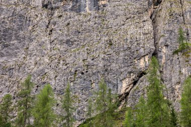 Tırmanışçılar dik dağ yamacına tırmanıyorlar.