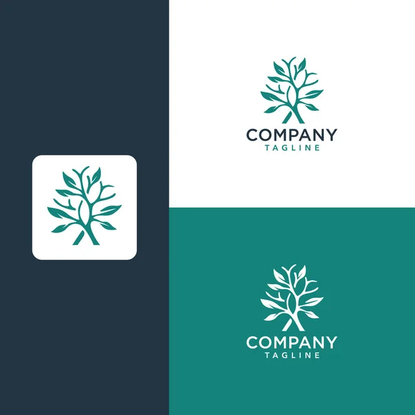 Baum Logo Design Inspiration Premium — Stockvektor
